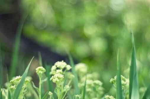 女人让男人心寒十大愚蠢行为,相亲对象最让人反感行为有哪些