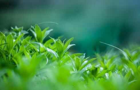 女人让男人心寒十大愚蠢行为,相亲对象最让人反感行为有哪些