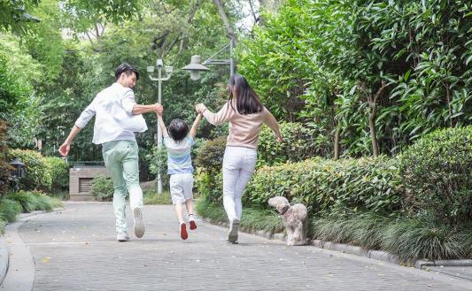 堂姐表姐哪个血缘近，兄弟姐妹血缘关系百分比