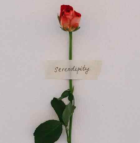 丈母娘对我过分的好怎么拒绝，丈母娘提不合理要求怎么拒绝