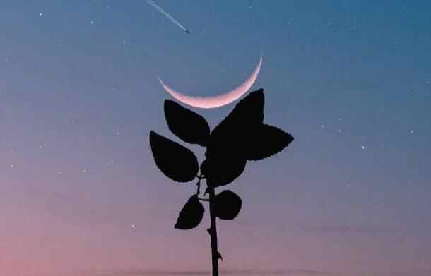 开导婚姻不幸女人的话，开导离婚的女人的暖心话