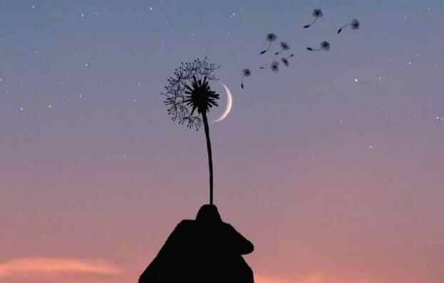 开导婚姻不幸女人的话，开导离婚的女人的暖心话