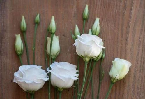 男人说反话潜台词,男生拒绝你的潜台词