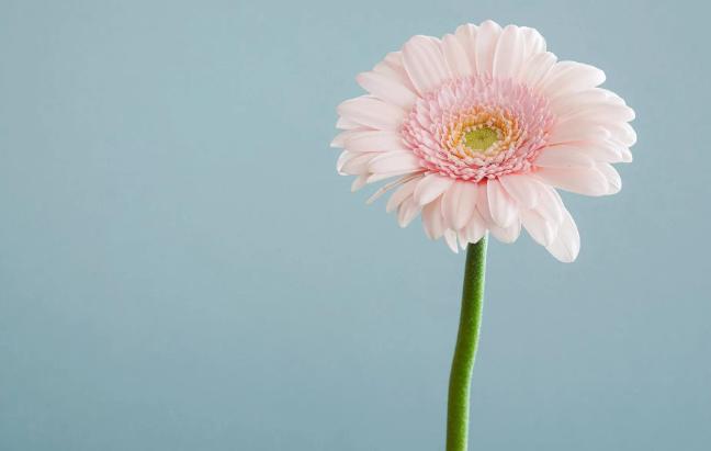 嘴笨熟记4句话,嘴笨的人记住三句口诀