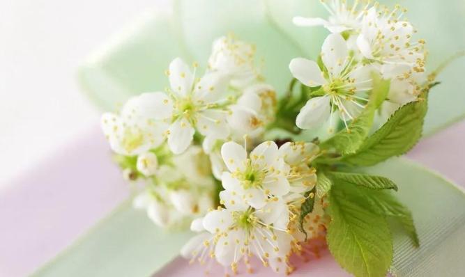 嘴笨熟记4句话,嘴笨的人记住三句口诀