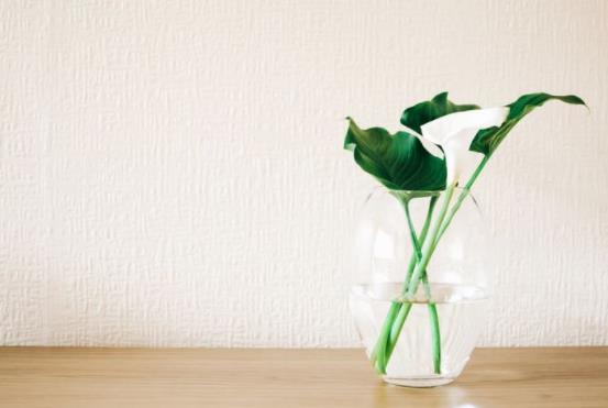 男生为什么都喜欢紫霞,喜欢紫霞的人是什么性格