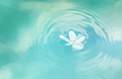 男生为什么都喜欢紫霞,喜欢紫霞的人是什么性格