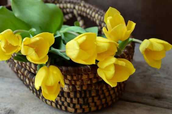 人和人相处靠的是相互吸引吗,为什么两个人的荷尔蒙互相吸引