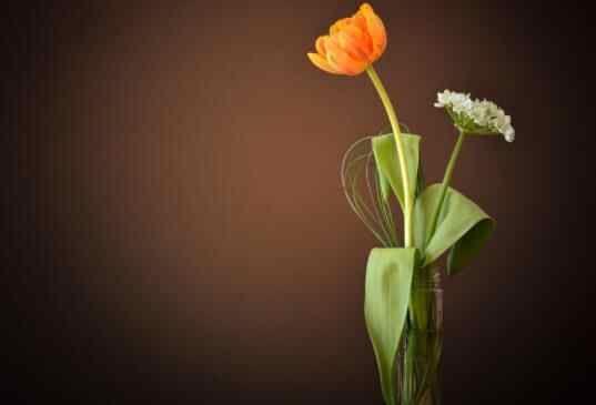 人和人相处靠的是相互吸引吗,为什么两个人的荷尔蒙互相吸引