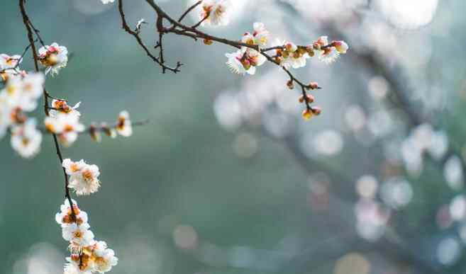 女人越来越富有的征兆,越来越富有的女人五大特征