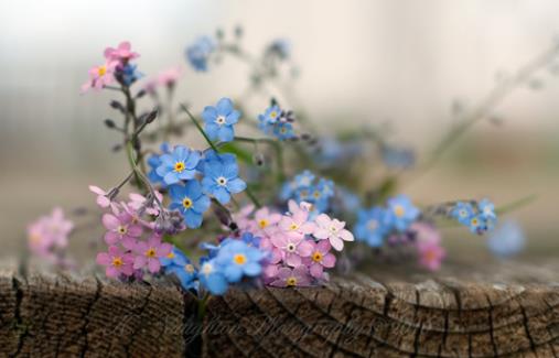 男人对女人特别有感觉是占有欲吗,男人不喜欢你为何还想占有你呢