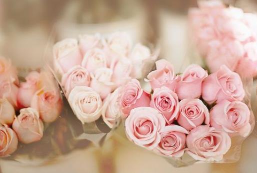 恋人怎么摆脱舔狗式相处,如何维持感情还不当舔狗