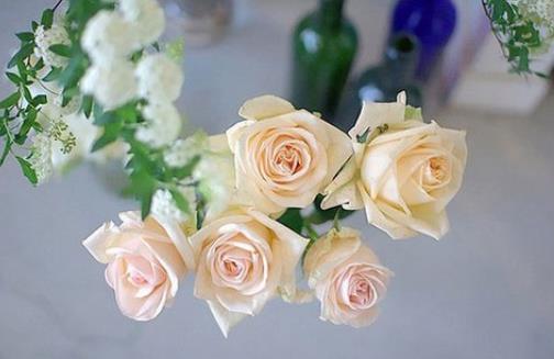 恋人怎么摆脱舔狗式相处,如何维持感情还不当舔狗