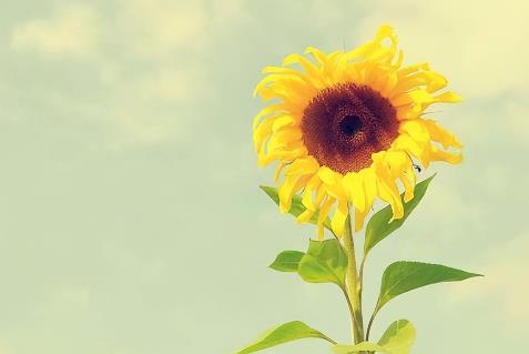 三角关系男人更在乎谁，如何处理男人之间三角关系