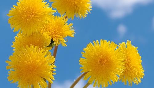 三角关系男人更在乎谁，如何处理男人之间三角关系