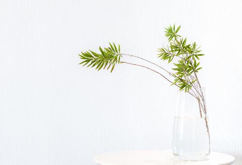 为什么不要和已婚男纠缠不清,不要理死缠烂打的已婚男人