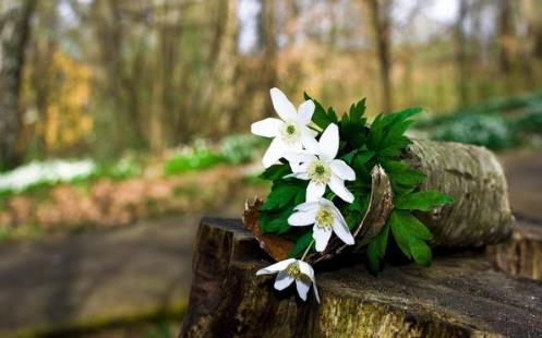 为什么不要和已婚男纠缠不清,不要理死缠烂打的已婚男人