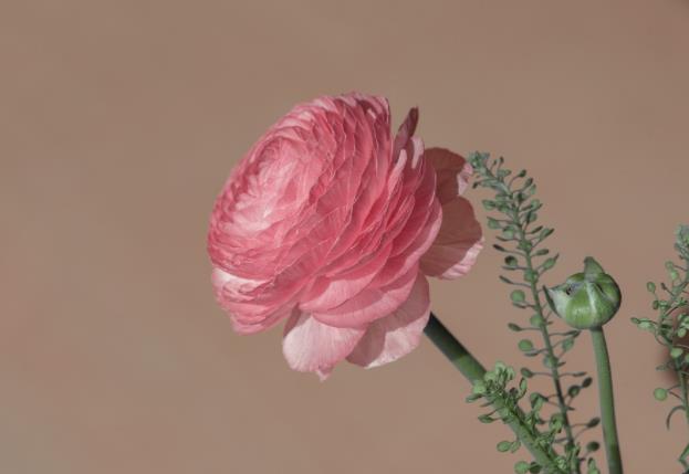 男女恋爱的几个时期，情侣要经过的几个阶段