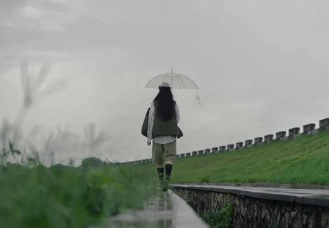 四十岁的女人想要什么,女人到了40岁左右对感情是否冷淡了