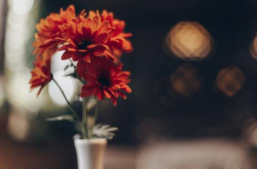 年过五十不说三句话,年过五十的女人需要男人陪伴吗