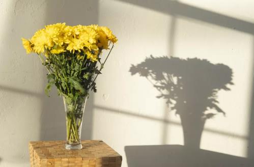 年过五十不说三句话,年过五十的女人需要男人陪伴吗