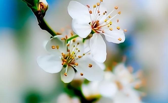 老了要留住三样东西,老了要守住三样东西