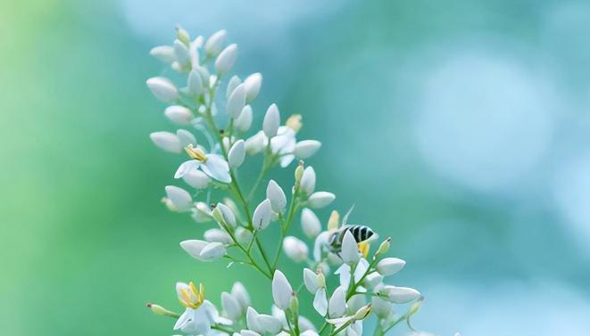 老了要留住三样东西,老了要守住三样东西