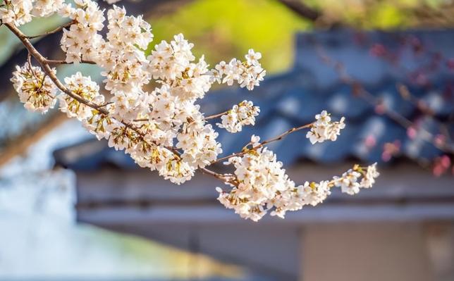 老了要留住三样东西,老了要守住三样东西