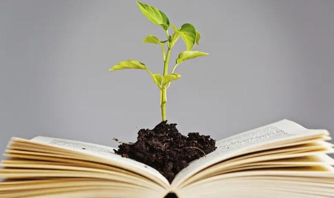 人生到了中年怎么赚钱,放下面子去赚钱才是成年人的格局