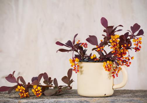 老年异性如何交往,老年人找个伴侣怎么找