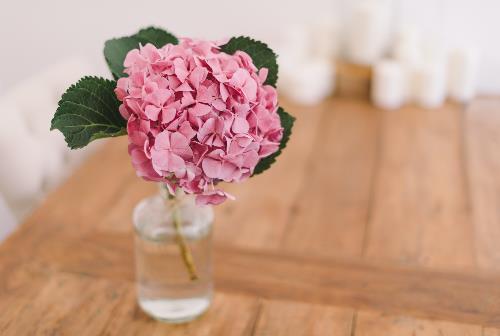 老年异性如何交往,老年人找个伴侣怎么找