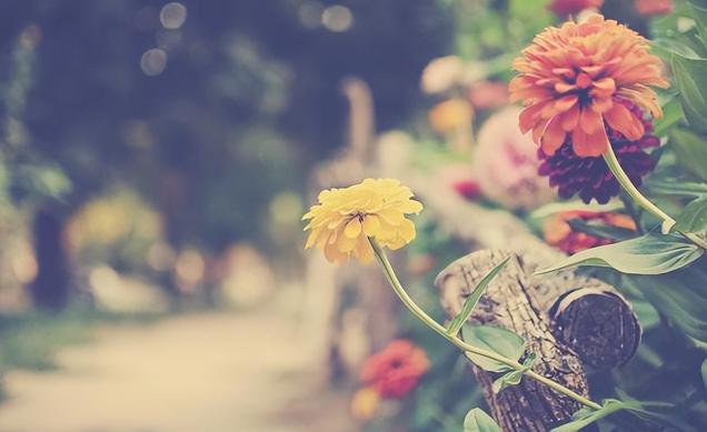 洗澡时别做三件事,洗澡时不能做这三件事