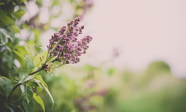 洗澡时别做三件事,洗澡时不能做这三件事