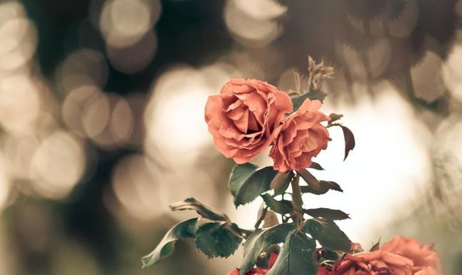 洗澡时别做三件事,洗澡时不能做这三件事