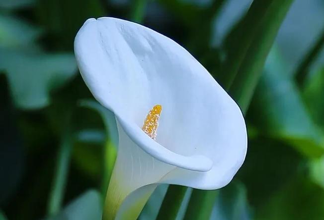 请保姆注意事项和禁忌,给老年人请保姆注意事项