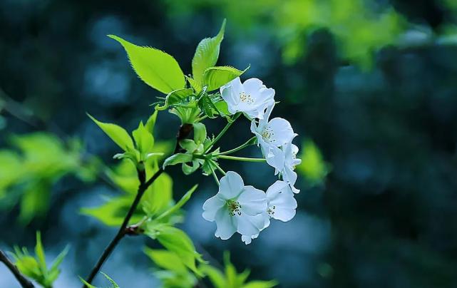 请保姆注意事项和禁忌,给老年人请保姆注意事项