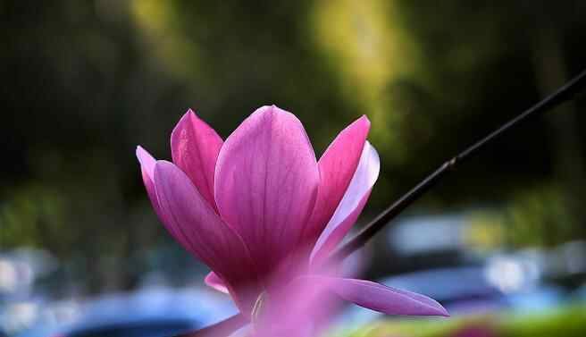 人突然变老的三个年纪，人在几个年龄段突然变老