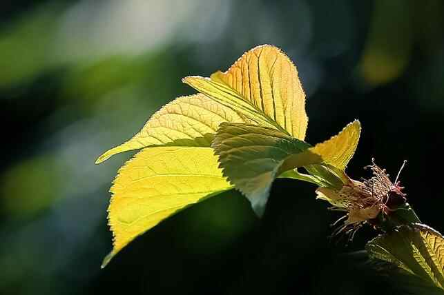 人突然变老的三个年纪，人在几个年龄段突然变老