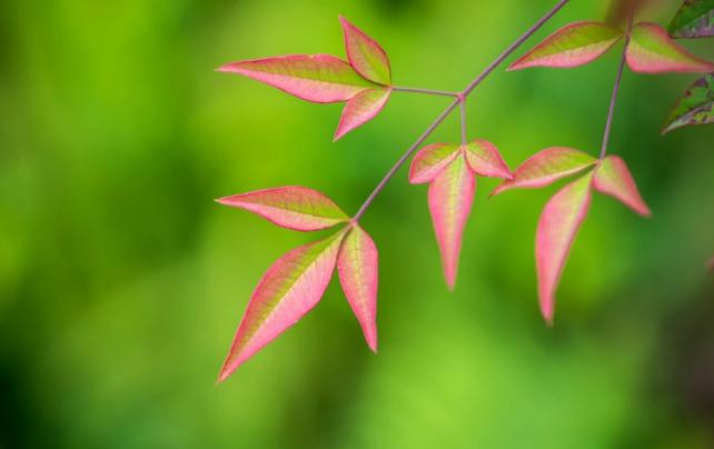 人生不能犯的八大忌，千万不可犯的人生大忌有哪些
