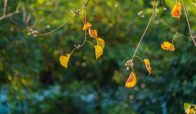人生不能犯的八大忌，千万不可犯的人生大忌有哪些