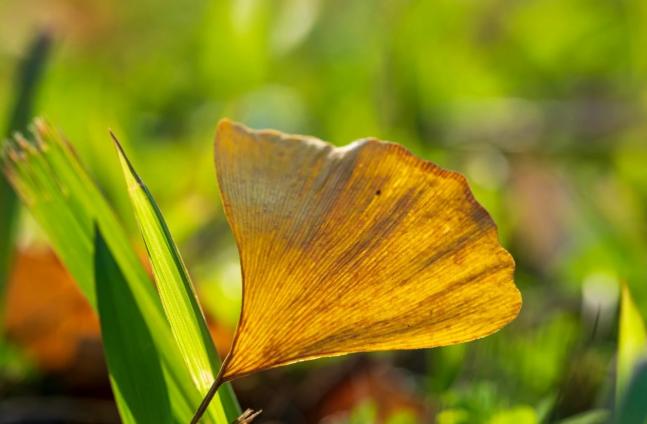 人生不能犯的八大忌，千万不可犯的人生大忌有哪些