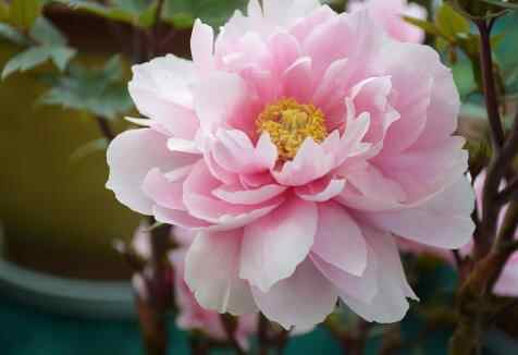 五种绝对不能惹的人，生活中绝不能惹的五种人