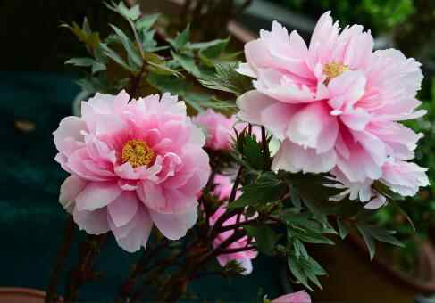 五种绝对不能惹的人，生活中绝不能惹的五种人