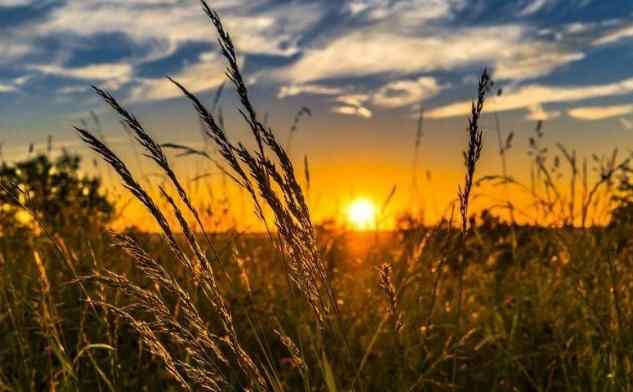 对待女婿的十大忠告，对女儿失望心寒咋办
