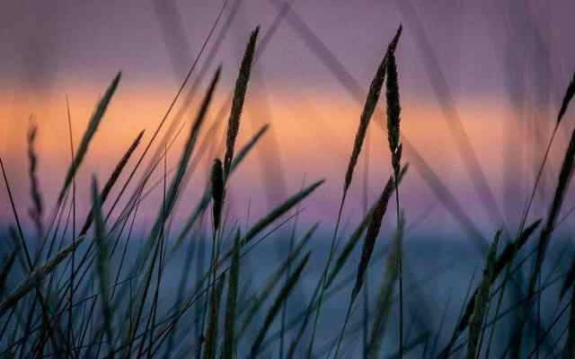 对待女婿的十大忠告，对女儿失望心寒咋办