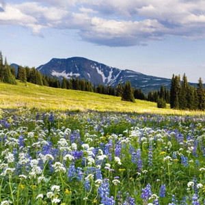 七十岁老人处世秘诀,七十岁老人说为人处世