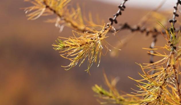 守财最灵的4个方法,守不住财最有效的方法