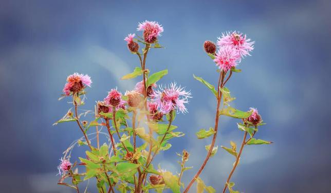 守财最灵的4个方法,守不住财最有效的方法