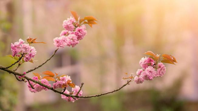 守财最灵的4个方法,守不住财最有效的方法