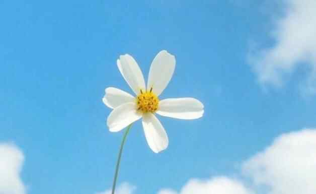 心疼到窒息的伤感语录，心痛到不能呼吸的句子句句戳心